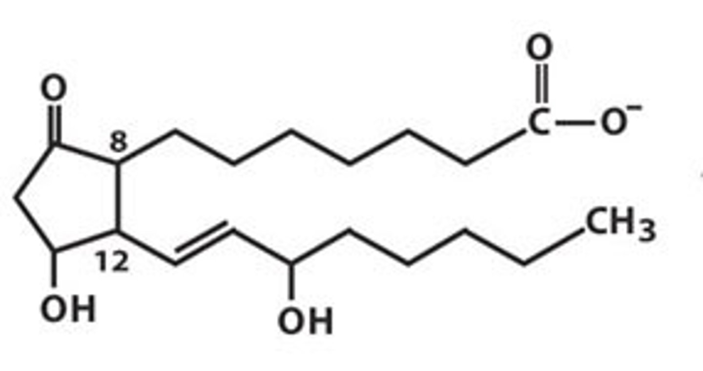 <p>(B) Prostaglandins</p><p>Aspirin and Ibuprofen are Non-steroidal Anti-Inflammatory Drugs (NSAIDS) work by inhibiting the production of Prostaglandins.</p>