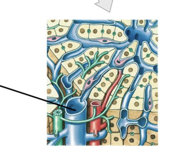 <p>What is the line pointing to&nbsp;</p>
