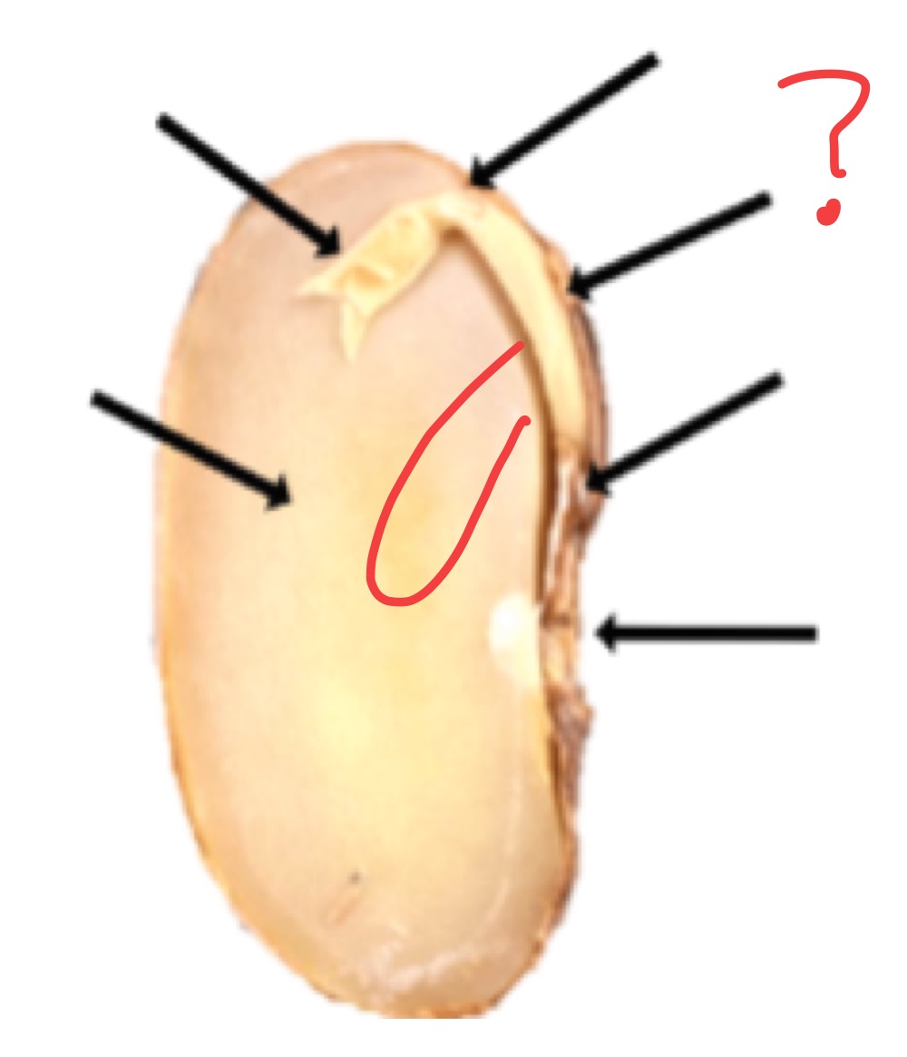 <p>What is this?</p>