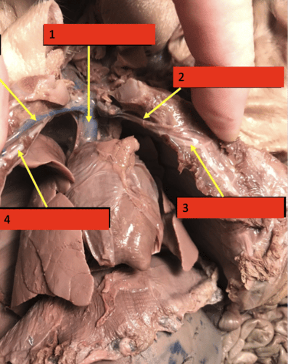 <p>3</p>