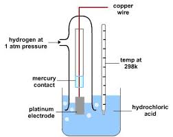 <ol><li><p>Copper wire</p></li><li><p>Hydrogen gas at 1atm</p></li><li><p>Platinum electrode </p></li><li><p>298K</p></li><li><p>H<sup>+ </sup>(aq) at 1moldm<sup>-3</sup> (e.g. HCl)</p></li></ol><p></p>