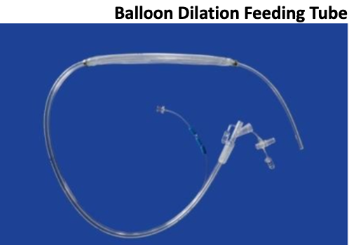 <p>-endoscopic balloon dilation (2-3 tx's usually required, up to 5+, every 2-14 days)</p><p>-feeding tube (esophagostomy tube, gastrostomy tube)</p>