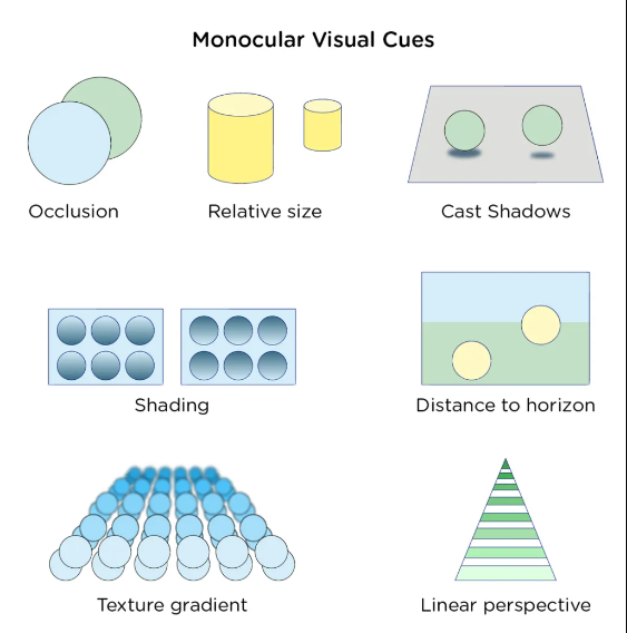 <p><strong><u>Visual organization and interpretation (Mod 19)</u></strong></p><p>Depth cues available to each eye separately</p><ul><li><p><strong>Linear perspective:</strong> depth prompt that the human eye perceives when viewing 2 parallel lines that appear to meet at a distance. Make things appear narrow</p></li><li><p><strong>Aerial perspective:</strong> When distant objects tend to appear blurry and bluish in nature.</p></li><li><p><strong>Relative size: </strong>If 2 objects are similar in size, we perceive the one that casts a smaller retinal image to be farther away</p></li><li><p><strong>Texture gradient: </strong>The progressive decline in the resolution of textures as the viewer moves away from them.</p></li><li><p><strong>Relative height:</strong> We perceive objects that are higher in our field of vision to be farther away than those that are lower</p></li><li><p><strong>Interposition:</strong> One object partially covers another object, giving the perception the object that is partially covered is farther away.</p></li></ul>