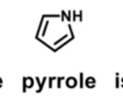 <p>which heterocycles can serve as both a HB donor and HB acceptor </p>