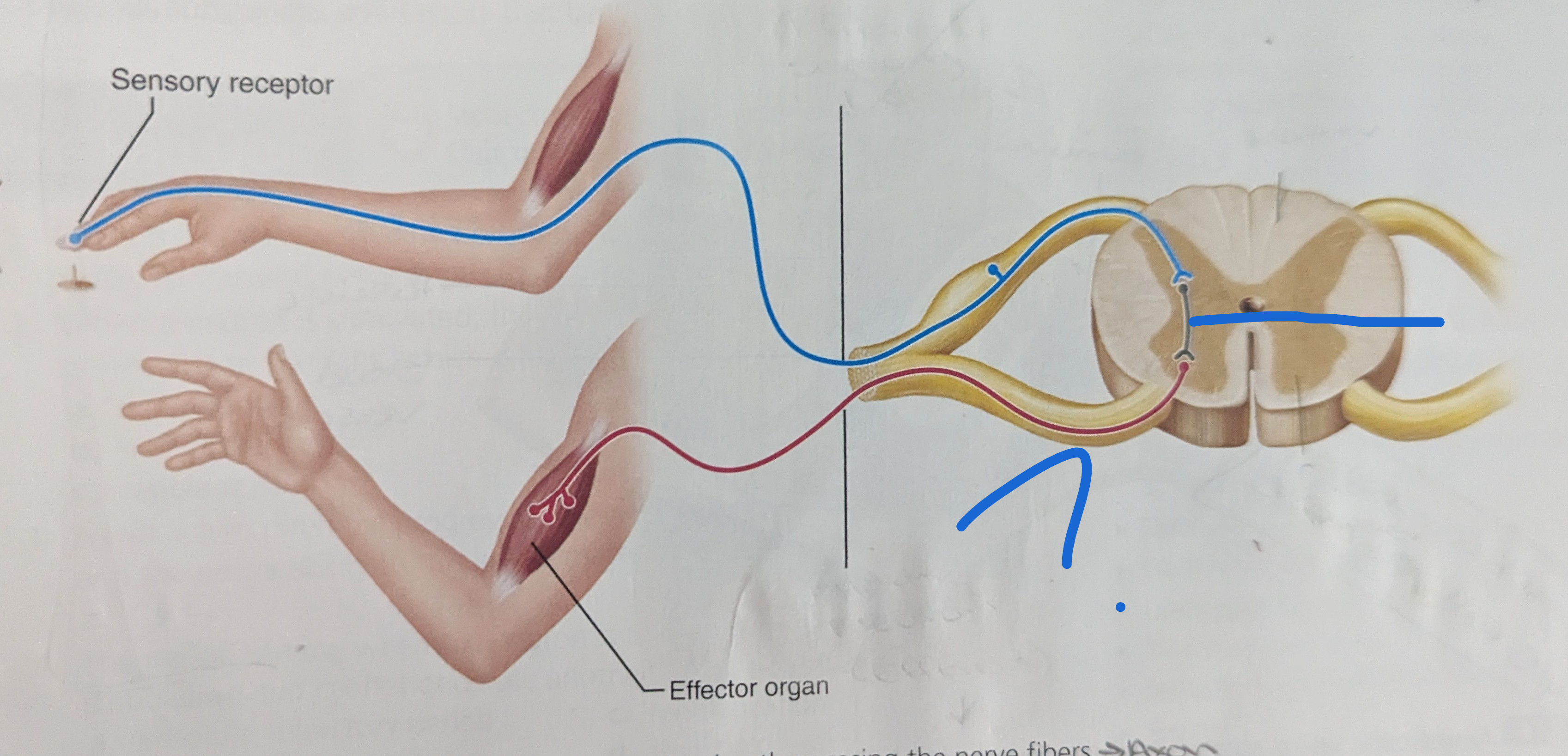 <p>What is the name of this?</p>