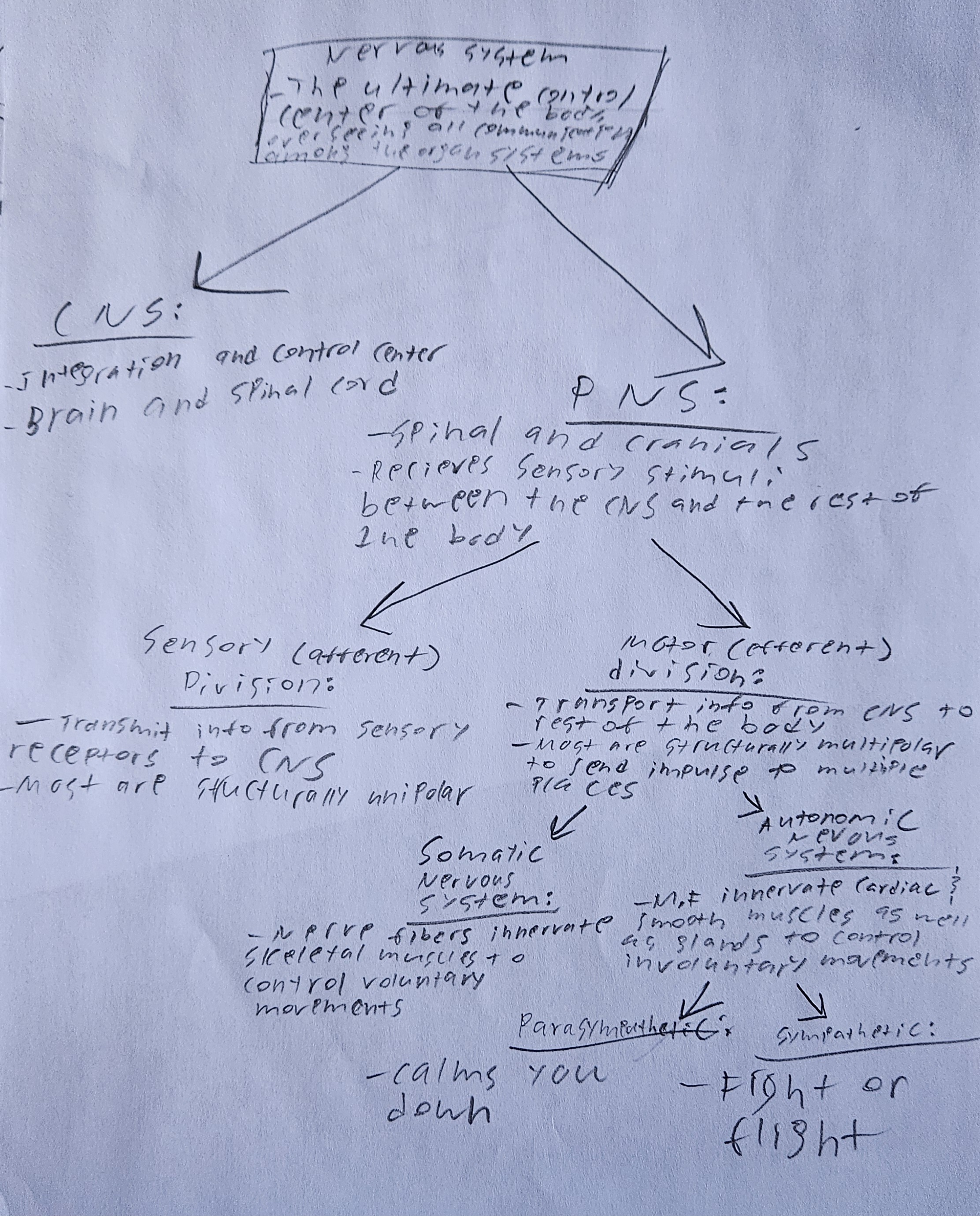 knowt flashcard image