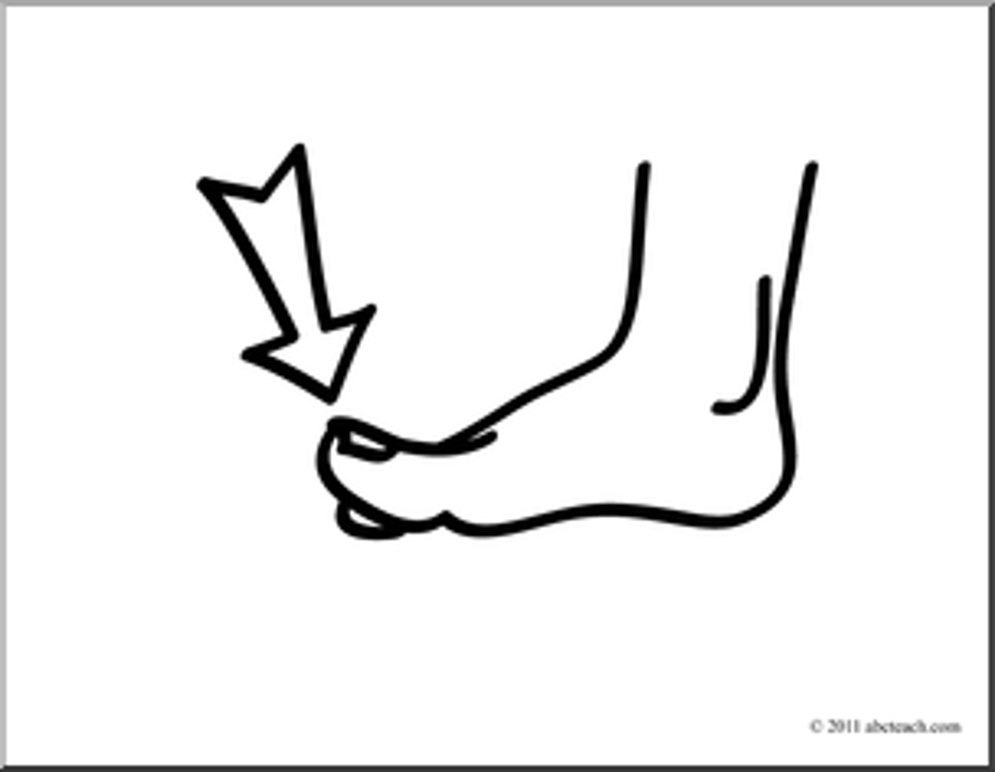 <p>toe (synonyme d'un doigt de pied)</p>