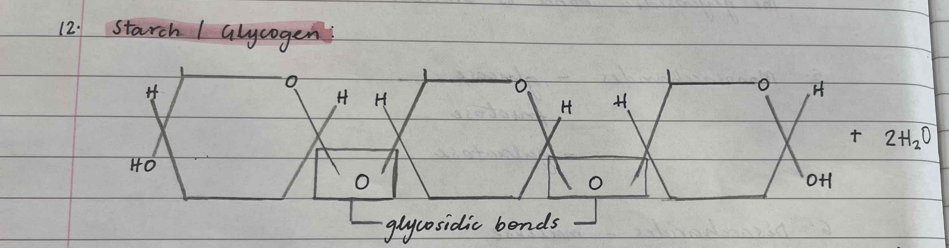 <p>Made from alpha-glucose</p><p><span>Found in plants</span></p><p><span>Insoluble</span></p><p><span>Has both 1,4 and 1,6 glycosidic bond</span></p>