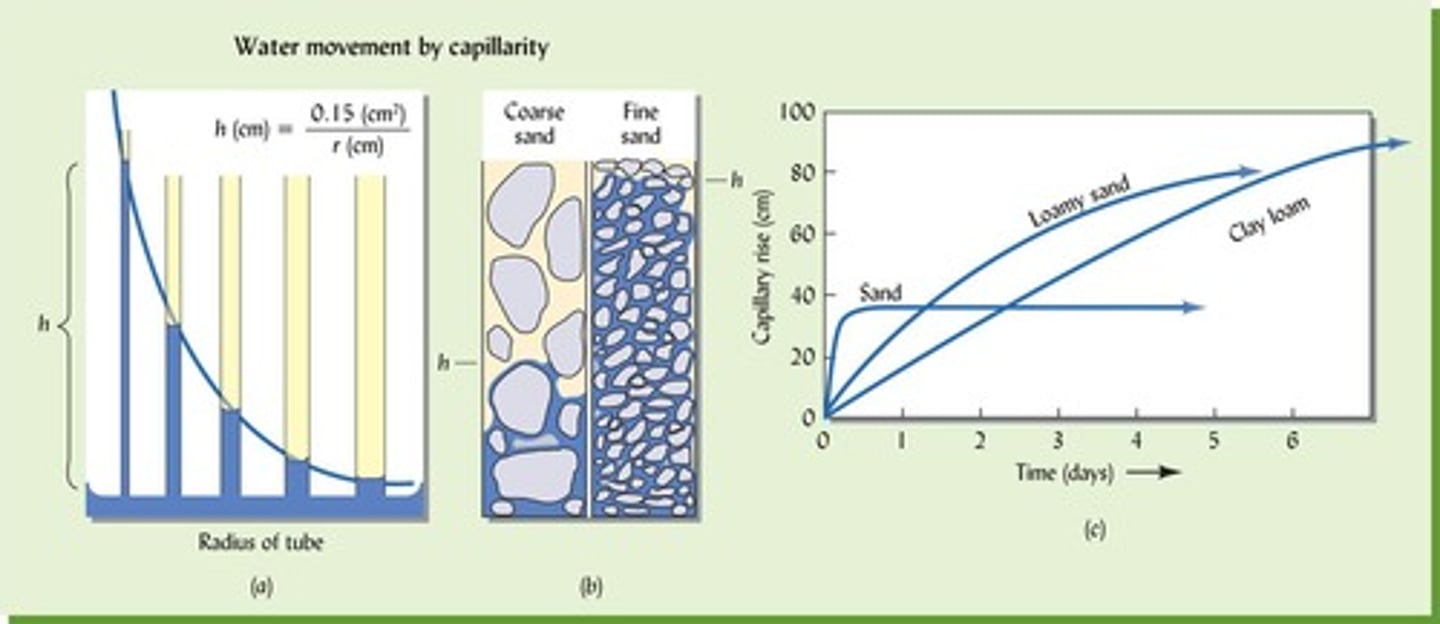 <p>Phenomenon by which water moves in soil due to adhesion and cohesion.</p>