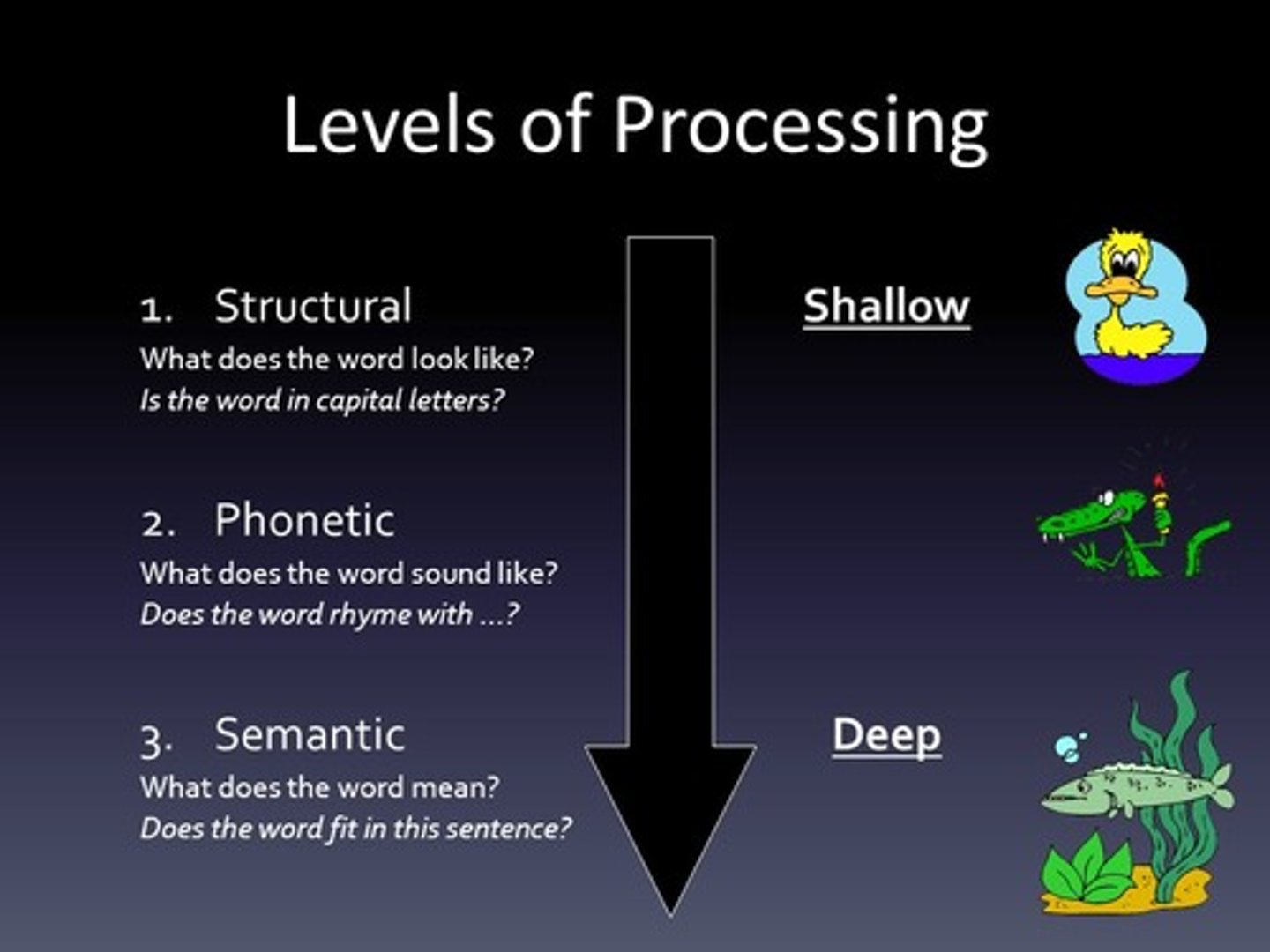 <p>encoding on a basic level, based on the structure or appearance of words</p>