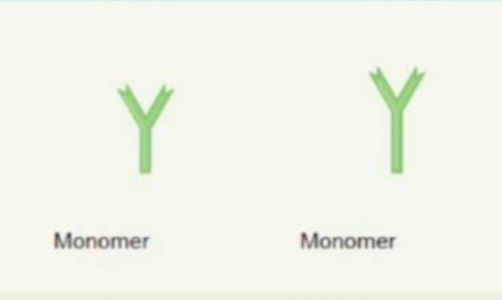 <p>monomers</p>