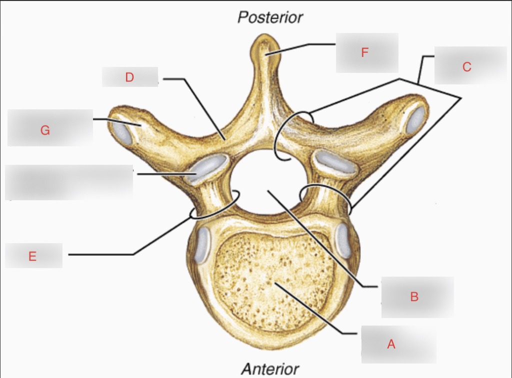 <p>What is D?</p>