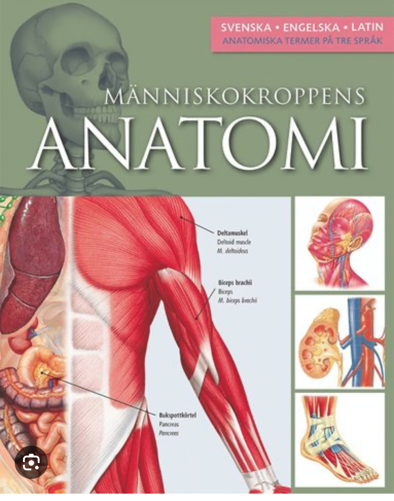 <p>Vad är anatomi?</p>