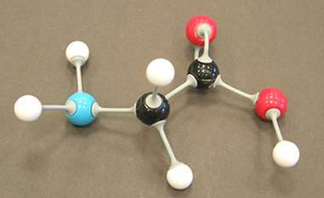 <p>name this organic molecule</p>