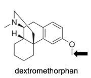 <p>Name Enzyme&nbsp;</p>