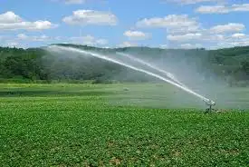 <p>Irrigation</p>