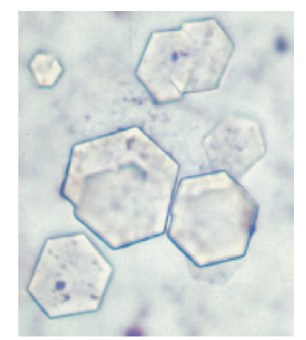 Identify this crystal.