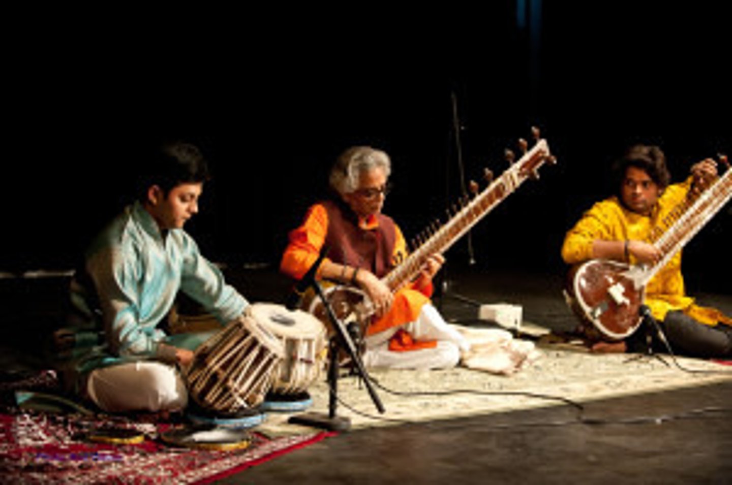 <p>world music</p>