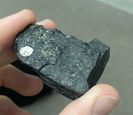 <p>Charcoal, <strong>Sedimentary</strong></p>