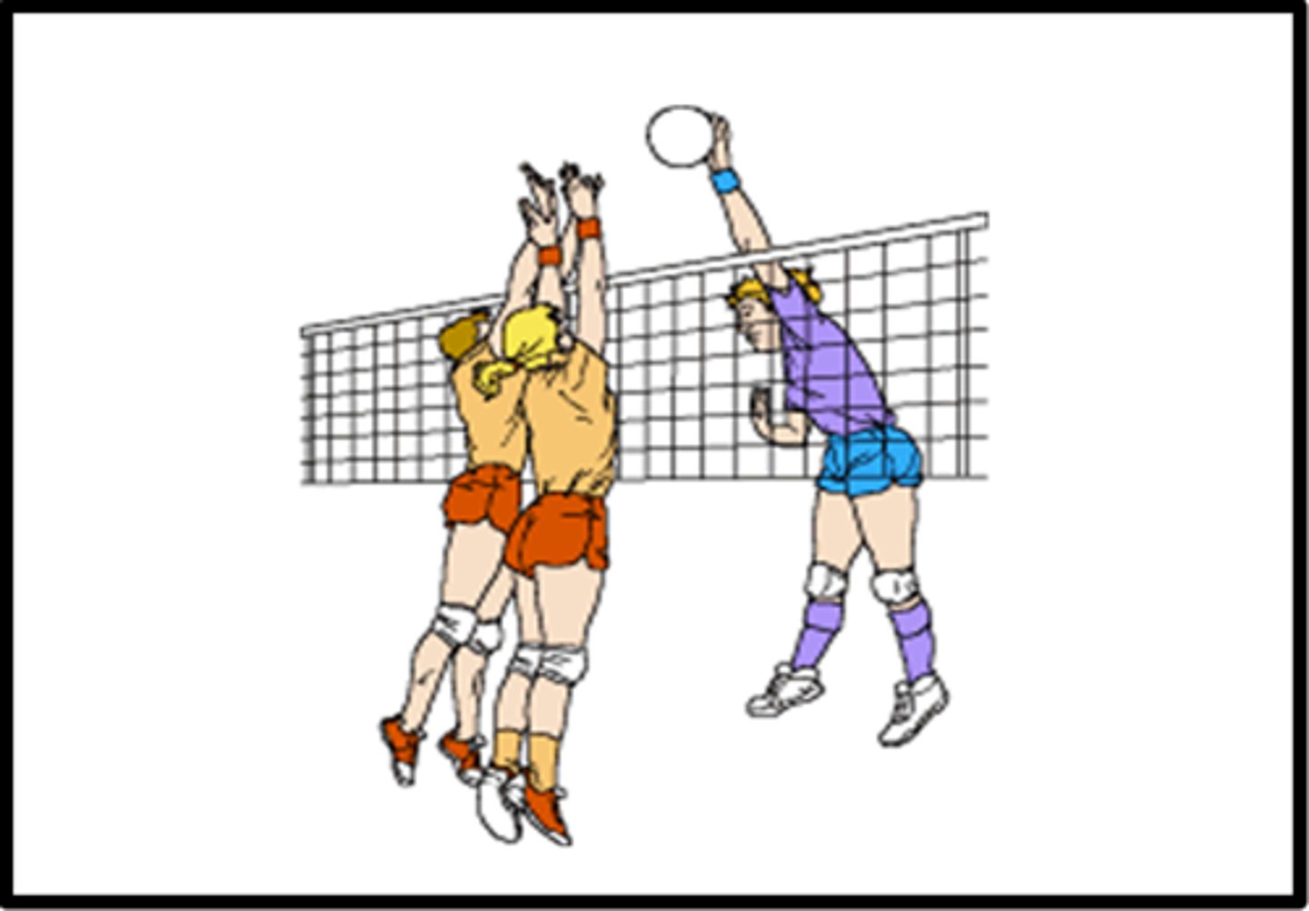 <p>to play volleyball</p>