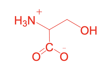 <p>what is this structure</p>