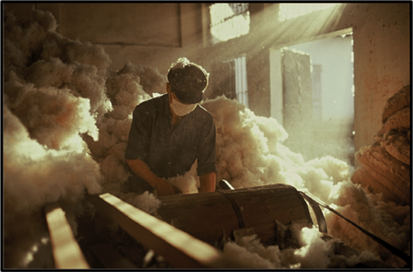 <p>Inhalation of cotton fiber/dust leading to inflammation &amp; fibrosis</p>
