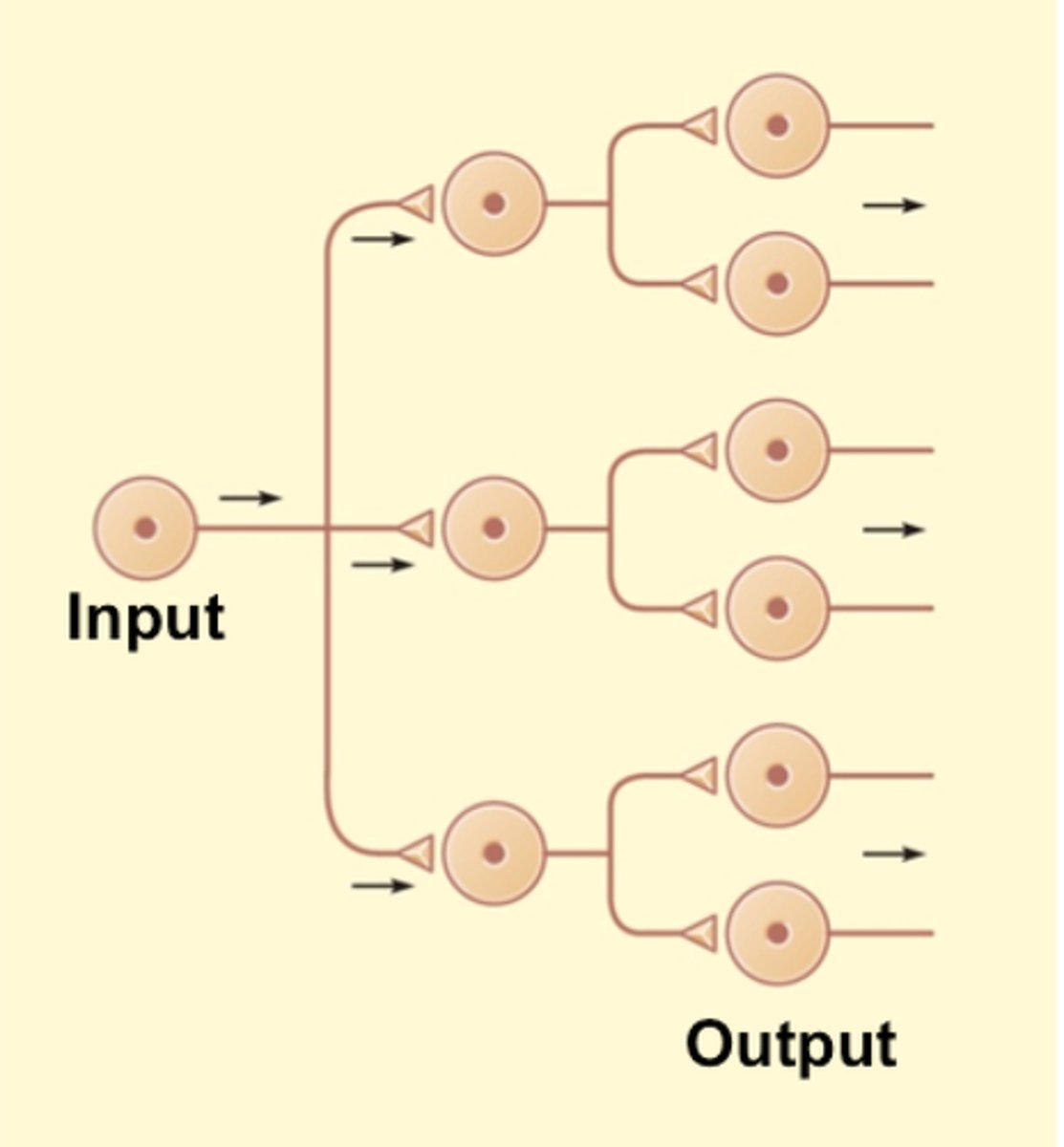 <p>one input, many outputs</p>