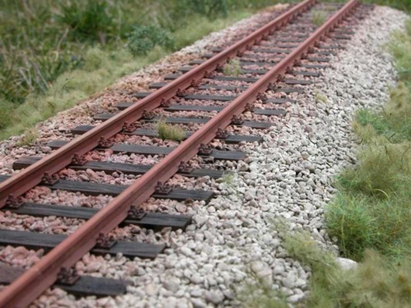 <p>track</p>