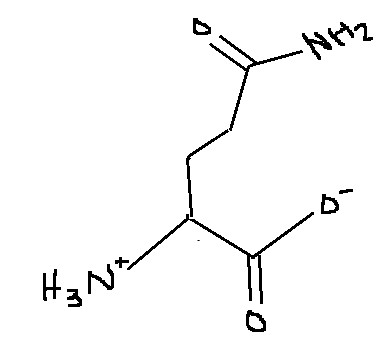<p>Which amino acid is this?</p>