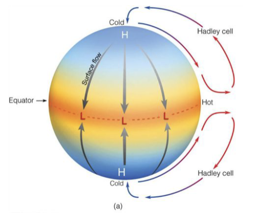 <p>It is where the atmosphere attempts to even out the temperature of the Earth by transporting heat toward the Earth’s poles; this is done due to the continuous convection cells near the equator that push up against the top of the atmosphere and spread out to the poles (Hot air rises, cools, then the new cold air sinks); the image portrayed takes into account if no rotation</p>