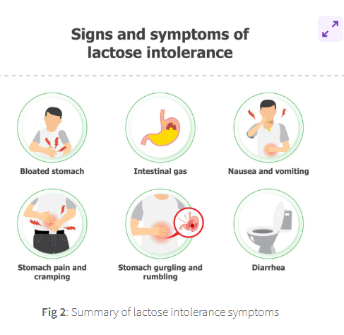 <p>symptoms occurs within a few horus of consumption</p>