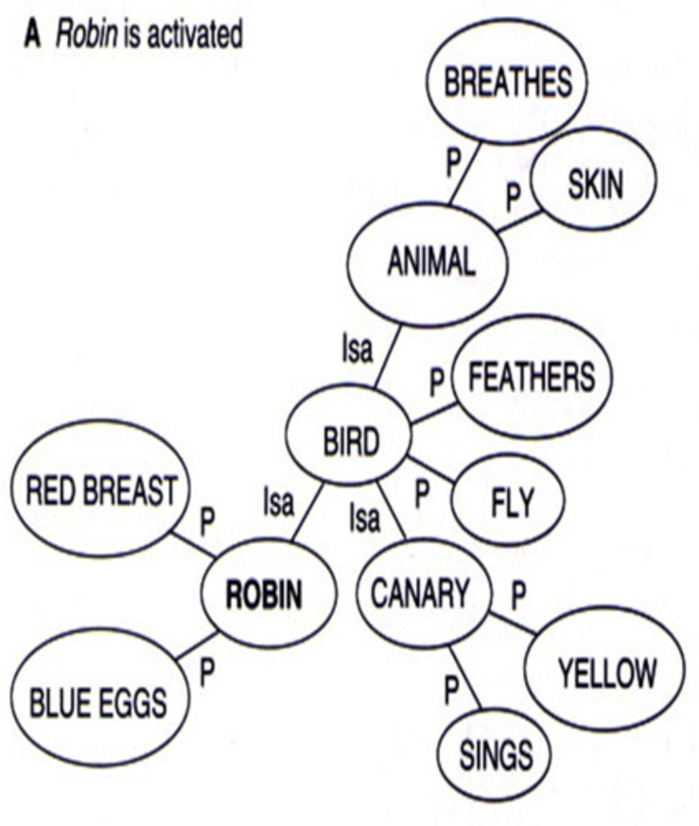 <p>only non-redundant facts are stored in memory</p>