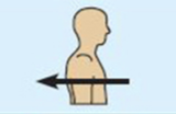 <p>toward or at the back of the body: behind <br><br>example the heart is posterior to the breastbone </p>