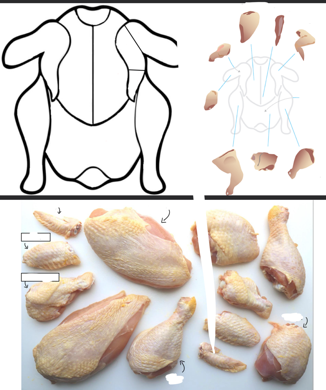 <p>Label the meat cuts of the chicken </p>