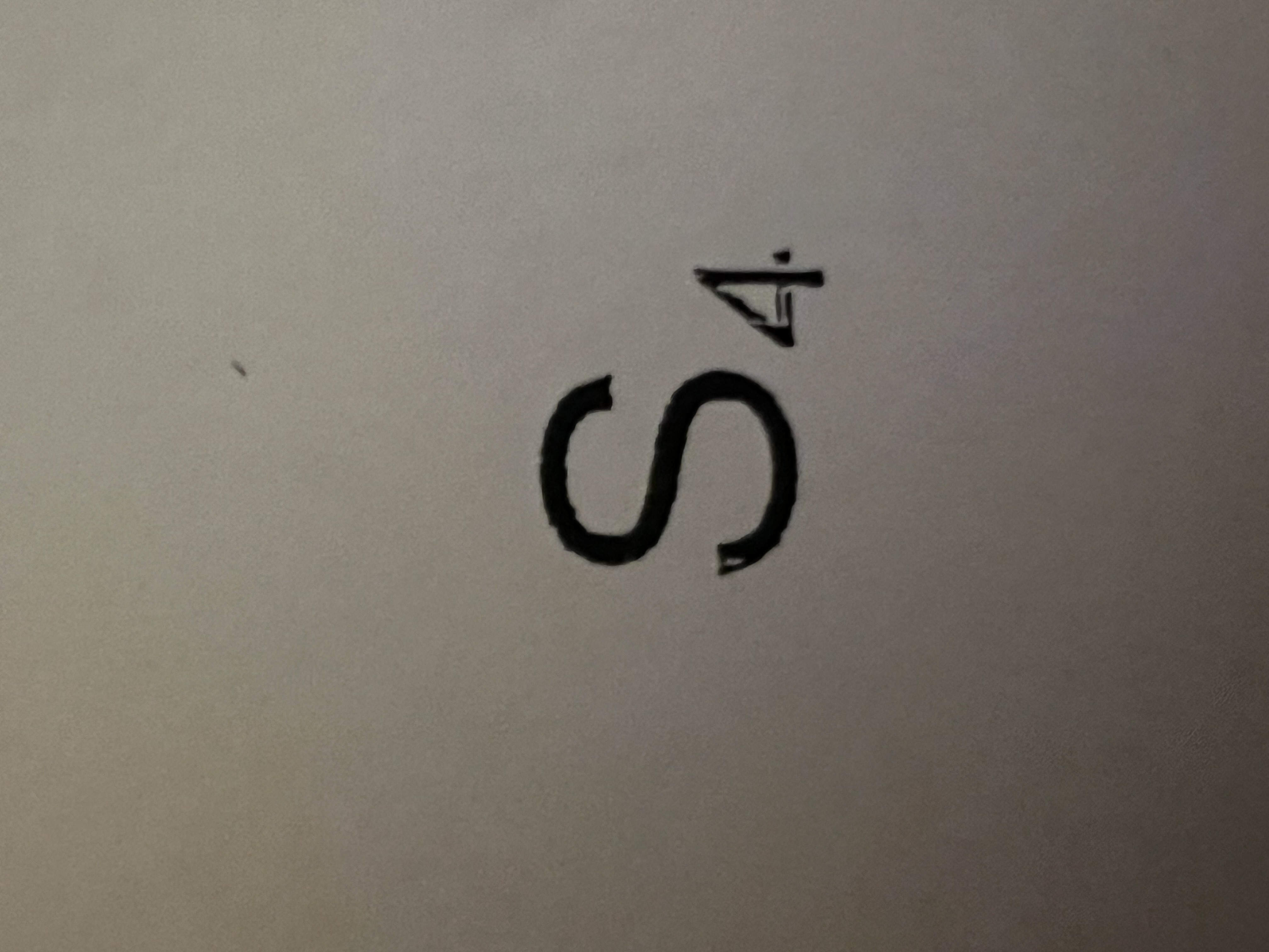 term image
