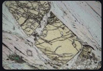 <p>colorless to yellow, no cleavage, high relief, strong pleochroism, 1st Order, parallel extinction, no twinning, and metamorphic </p>