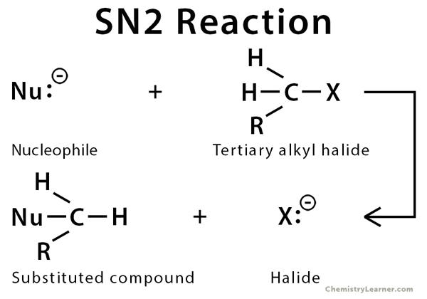 <p>explain the SN2 mechanism </p>