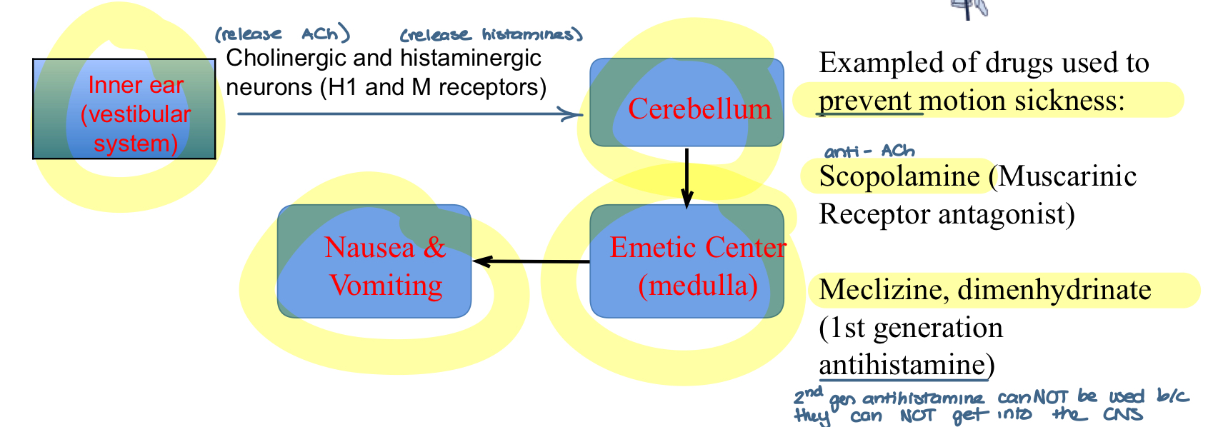 <p>mediated by the inner ear vestibular system) and increased cholinergic/histaminergic neurotransmission</p><ul><li><p>cholinergic and histaminergic neurons (H1 and M receptors) in the inner ear (vestibular system) release ACh and histamines to the cerebellum to the emetic center (medulla) —&gt; causes nausea and vomiting </p></li></ul>