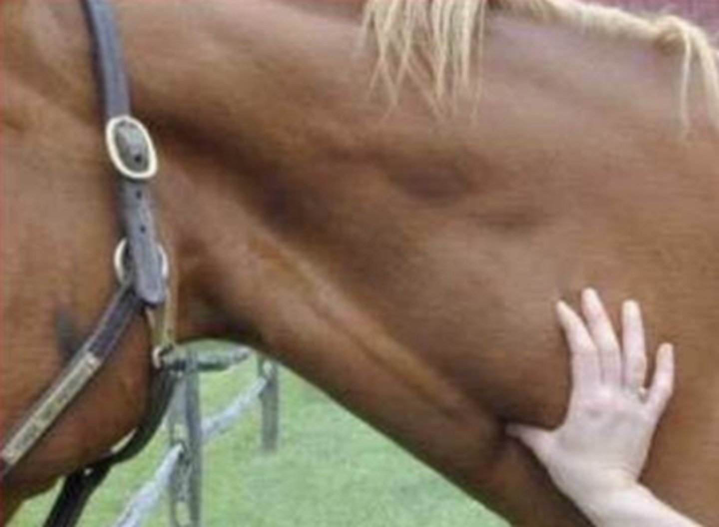 <p>what is this image showing ?</p>