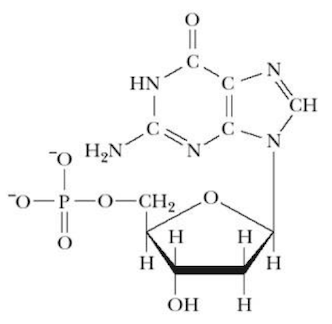 <p>Name that structure.</p>