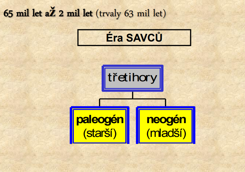 <ul><li><p>Rostliny:</p></li><li><p> NAHOSEMENNÉ ROSTLINY (tis, jedle a borovice)</p></li><li><p> rozvoj KRYTOSEMENNÝCH ROSTLIN – vznikají druhy známé i dnes</p></li><li><p>(palmy, fíkusy, magnólie, vrby, dub, javor, šácholan, bříza, olše, jilm a</p></li><li><p>byliny)</p></li><li><p><strong> pralesní vegetace tvoří zásoby hnědého uhlí (Podkrušnohoří)</strong></p></li><li><p>Živočichové:</p></li><li><p> druhohorní plazi vyhynuli, zůstali krokodýli, <strong>hadi a želvy</strong></p></li><li><p> vůdčí postavení zaujali savci</p></li><li><p><strong>hmyzožravci, hlodavci, šelmy</strong> (šavlozubý tygr), <strong>kopytníci </strong>(předchůdci</p></li><li><p>koně, tapíra či nosorožce), <strong>chobotnatci (mastodonti) a primáti</strong></p></li><li><p><strong> vznik obrovského množství hmyzu, obojživelníků – hlavně žáby</strong></p></li><li><p> v moři žily<strong> kostnaté ryby, měkkýši</strong> – <strong>hlavonožci na ústupu</strong> (amoniti a</p></li><li><p>belemniti vyhynuli), <strong><mark data-color="red" style="background-color: red; color: inherit">nové druhy mlžů a plžů, koráli</mark></strong></p></li><li><p> v <mark data-color="green" style="background-color: green; color: inherit">š</mark><strong><mark data-color="green" style="background-color: green; color: inherit">elfových mořích se usazují odumřelá těla drobných živočichů  ropa</mark></strong></p></li><li><p><strong><mark data-color="green" style="background-color: green; color: inherit">a zemní plyn</mark></strong></p></li></ul><p></p>