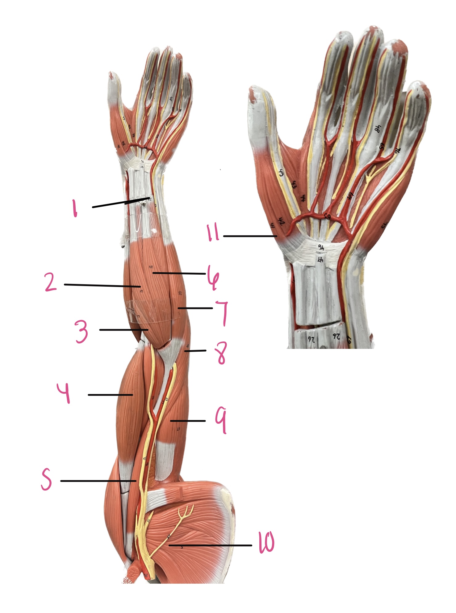 <p>2 </p>
