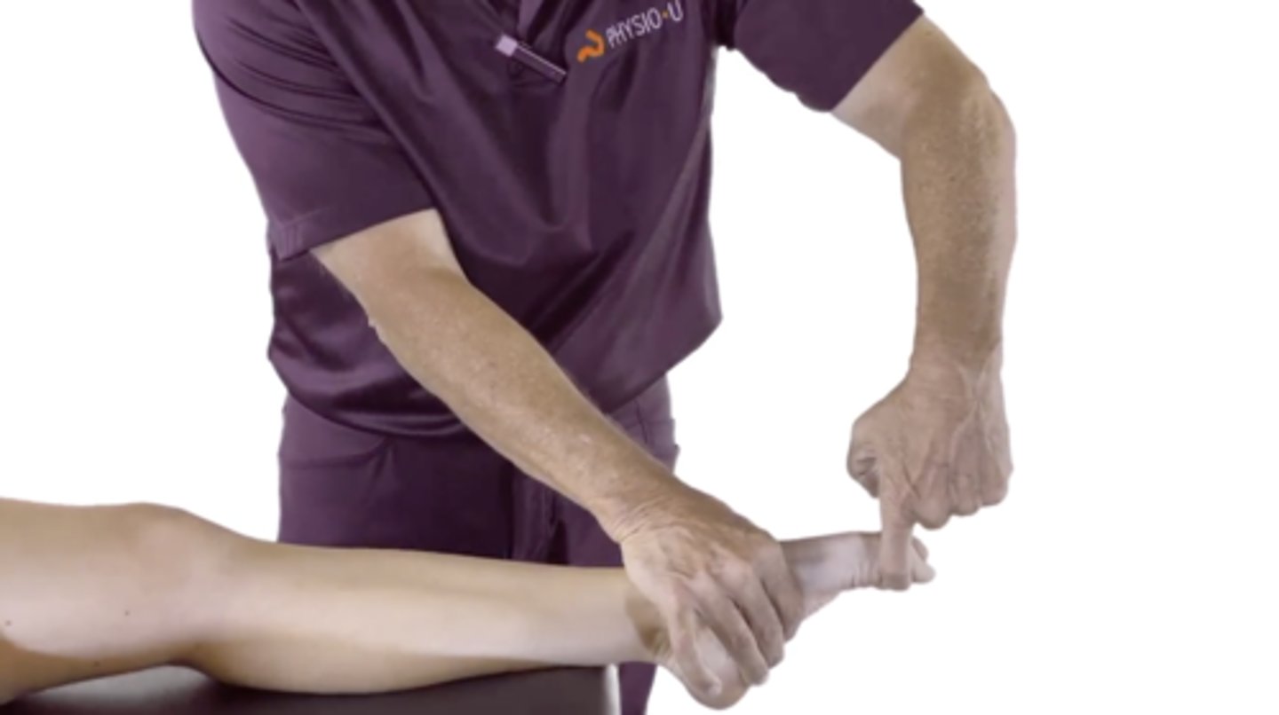 <p>Which assessment is this? Which muscles are involved? Gravity vs. gravity-eliminated?</p>