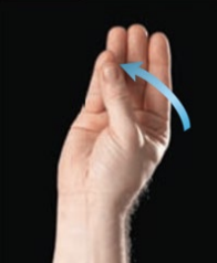 <p>touching thumb tip to fingerprints</p>