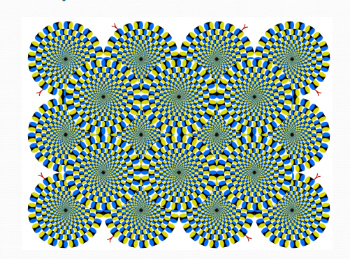 <ul><li><p>Real motion (something actually moving) </p></li><li><p>Illusory motion (nothing actually moving) </p><ul><li><p>Static image (e.g. rotating snakes illusion - Kitaoka &amp; Ashida, 2003) </p></li></ul></li><li><p>Apparent motion </p></li><li><p>Motion aftereffects </p></li><li><p>Induced motion </p><ul><li><p>Moving background (or a moving object) causes a stationary object to appear to move</p></li></ul></li></ul><p></p>