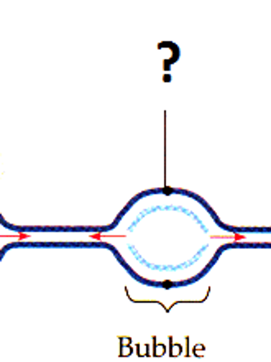 <p>bubble in the double helix where the strands are separated from each other </p>