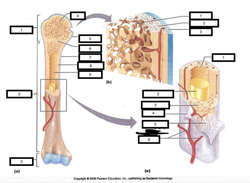 <p>What is 3c?</p>
