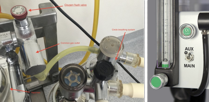 <p>name this part of the anaesthetic machine</p>