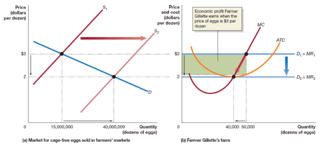<p>a firms’s revenues minus all of its implicit and explicit costs</p><ul><li><p>leads to entry of new firms - supply curve will shift right, decreasing the market price and economic profit</p></li></ul><p></p>