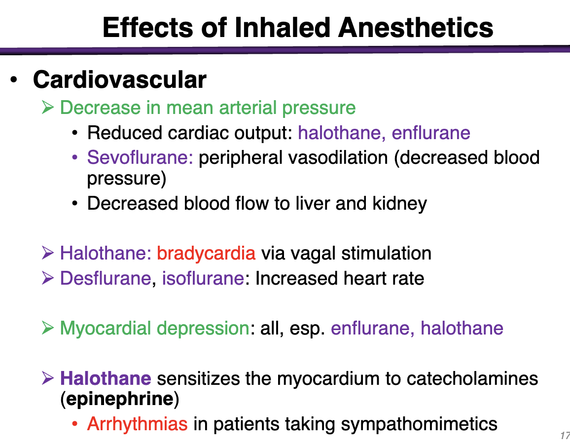 <p>Decrease in mean arterial pressure + General depression of cardiac function </p><ul><li><p>Reduce cardiac output: halothane, enflurane</p></li><li><p>Sevoflurane: peripheral vasodilation (decrease blood pressure)</p></li><li><p>Decreased blood flow to liver and kidney</p></li></ul><p></p><p>Halothane: bradycardia via vagal stimulation</p><p>Desflurane, isoflurane: <strong>decreased</strong> heart rate </p><p></p><p>Myocardial depression: all, esp. enflurane and halothane </p><p></p><p><strong>Halothane</strong> sensitizes the myocardium to catecholamines (epinephrine)</p><ul><li><p>Arrhythmias in pts taking sympathomimetics </p></li></ul><p></p><p>These make sense; we don’t want these to be SUPER active but we have to make sure we don’t make any existing comorbidities worse </p>